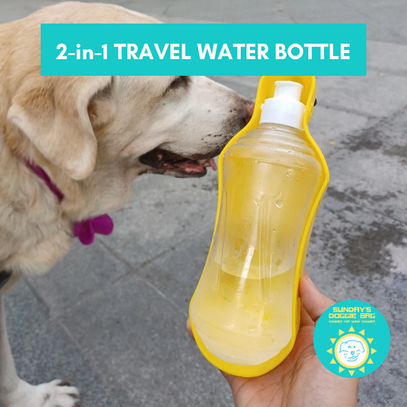 2-in-1 travel water bottle