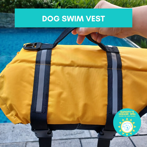 Doggie swim vest
