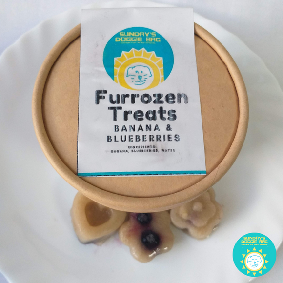 Furrozen Treats Banana & Blueberries
