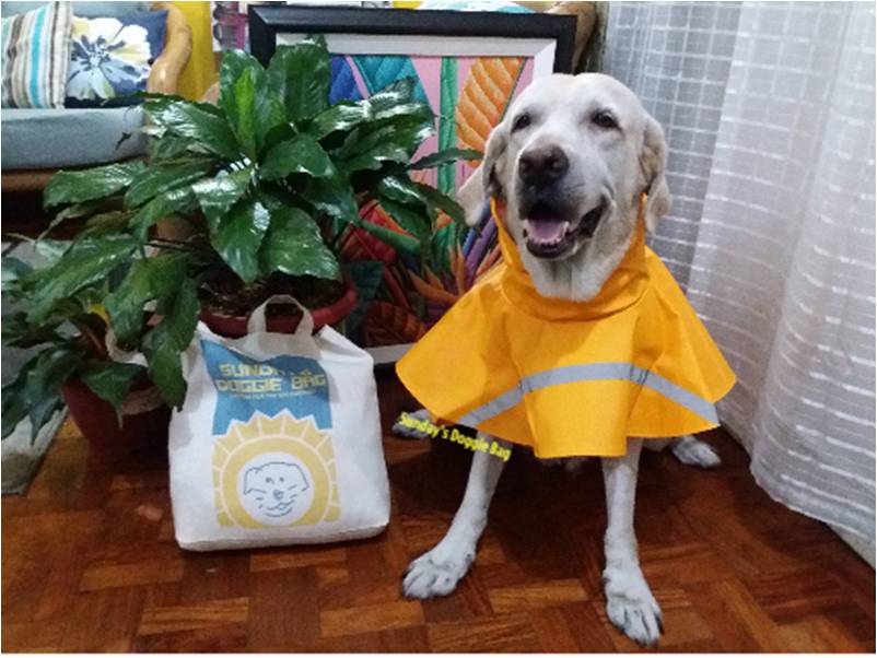 Nacoco dog raincoat hotsell