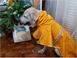 Large Dog Raincoat in XXL