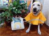 Large Dog Raincoat in XL