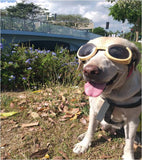 Sunday in Doggles Originalz