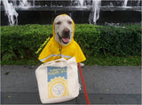 Large Dog Raincoat in XL