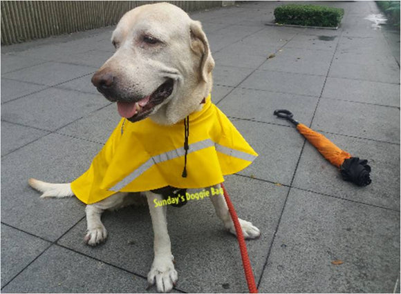 Large Dog Raincoat in XL