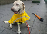 Large Dog Raincoat in XXL